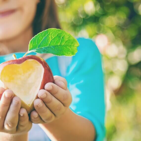 7,8 tonnes de fruits et légumes déclassés valorisés en 2025 : Notre engagement contre le gaspillage alimentaire